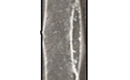 B7209